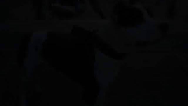 Tango pit bull смотреть онлайн