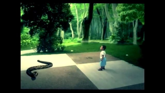 Fantasy zoo смотреть онлайн