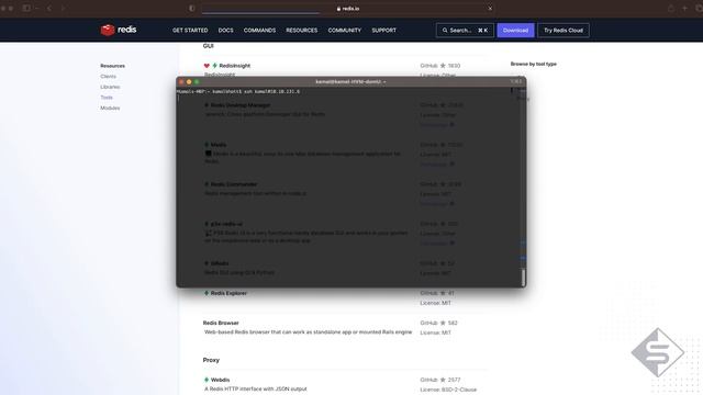Browsing Redis database of SONiC with GUI tools | STORDIS смотреть онлайн