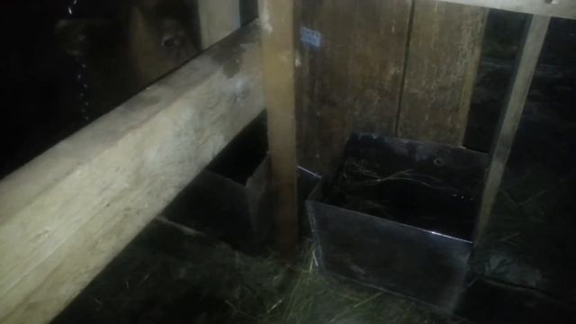 Поилки для быков смотреть онлайн