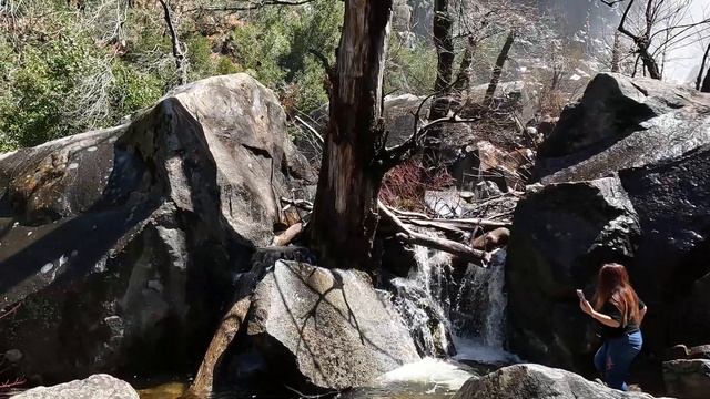 Секвойя Парк 7 смотреть онлайн