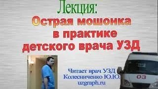 Лекция: Острая мошонка в практике детского врача ультразвуковой диагностики (УЗД) смотреть онлайн