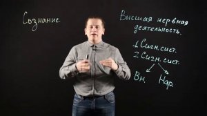 БИОЛОГИЯ 8 класс: Особенности высшей нервной деятельности человека.
