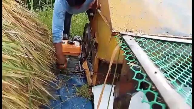 THE FAMILY THAT HARVEST TOGETHER EAT FOREVER - THE HARVEST смотреть онлайн