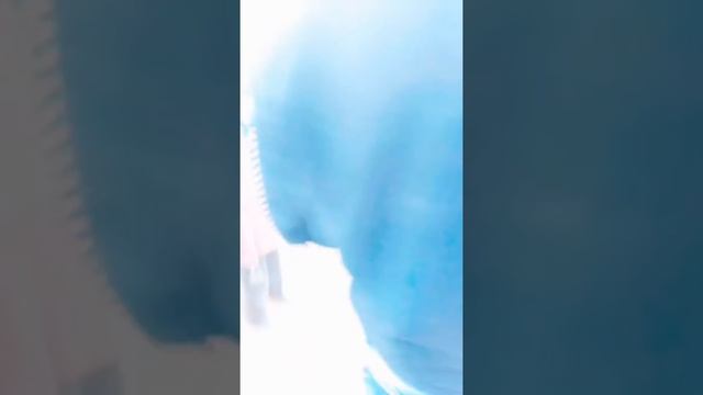 Javaid ahmad sheikh смотреть онлайн