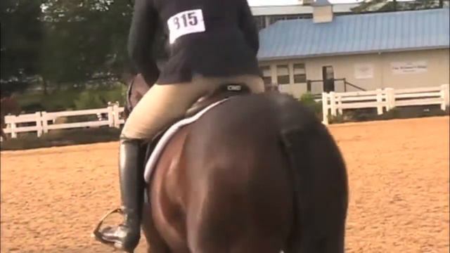 Beau's Bliss 3rd Place Sallie B Wheeler 4 year old Under Saddle смотреть онлайн