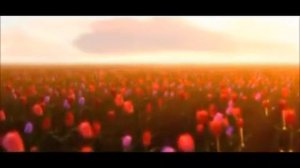 Футаж поле маков