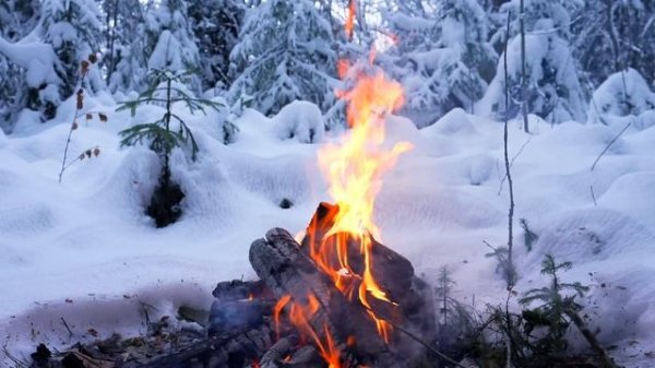 ? Crackling Campfire 4K (10 HOURS). Relaxing Campfire in the Winter Forest. Campfire Burning Sounds