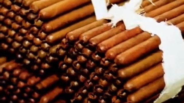 Liebherr Humidor смотреть онлайн