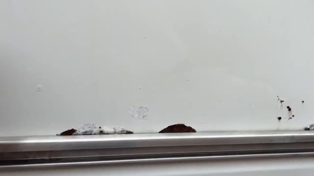 Peugeot Boxer 2012г.