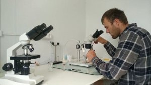 Искусственное осеменение пчелиных маток.