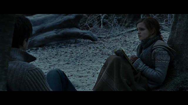 Harry Potter And  The Deathly Hallows Part 1 Forest Of Dean Scene