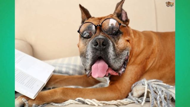 Психологическая подготовка к экзаменам смотреть онлайн