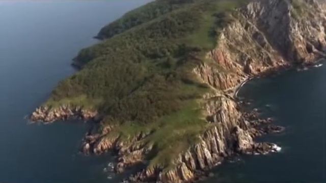 Псалом 95 смотреть онлайн