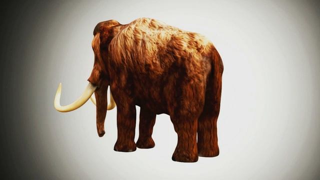 MAMMOTH 3D MODEL RIGGED AND LOW POLY AR VR VFX Game Ready Model смотреть онлайн