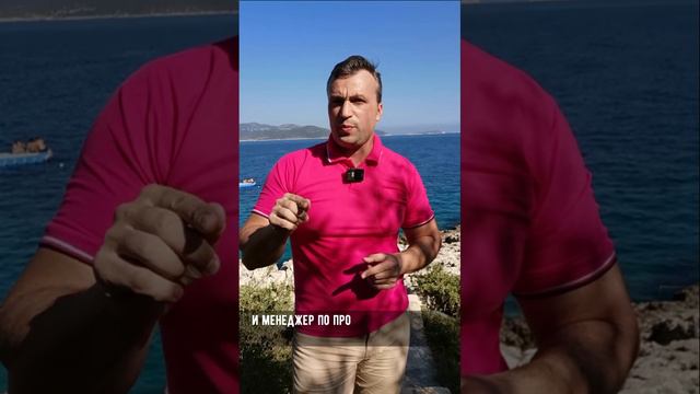 Как правильно читать резюме менеджера по продажам #менеджерыпопродажам #менеджеры #отделпродаж смотреть онлайн