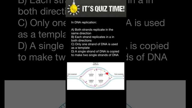 DNA Replication смотреть онлайн