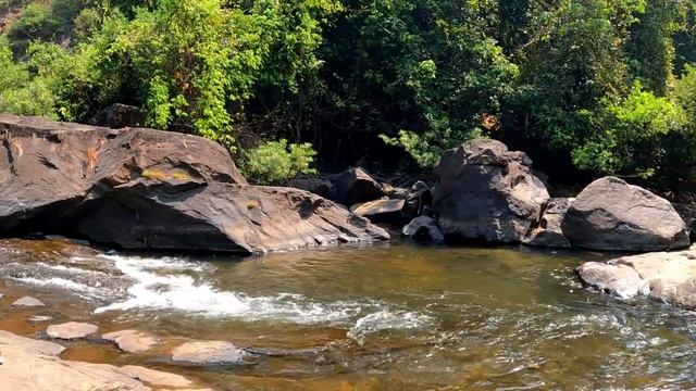 Отправились в Индийские Джунгли! Гоа не перестаёт удивлять! Самый большой водопад в Индии! смотреть онлайн