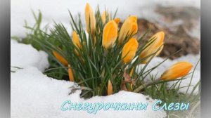 Стихи Для Мамы. 8 Марта | For Mom With Love