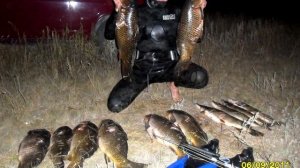 КАК ИСКАТЬ РЫБУ НА ПОДВОДНОЙ ОХОТЕ В КАМЫШАХ? Подводная охота для начинающих 2021 обучение и тактик