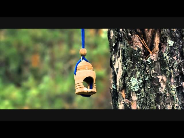 Лес - RAW Canon 600d/50mm1,8 смотреть онлайн