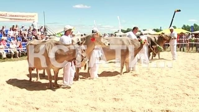 Сельскохозяйственный "опен эйр" прошел в Нижегородской области смотреть онлайн