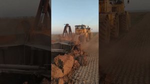 К 700 и арычник.