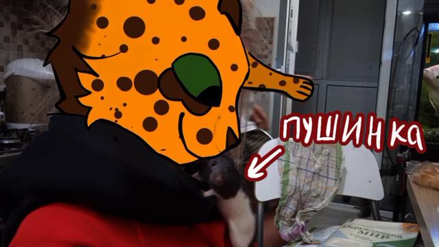 Пушинка я знаю тебе там будет хорошо😔. . . смотреть онлайн