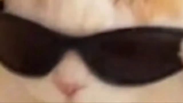 (Amongus-Амонгус)Оригинал)))