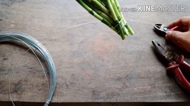 New Lucky Bamboo Decoration Idea | How to Shape Lucky Bamboo | Lucky Bamboo Plant | Simple Crafts смотреть онлайн