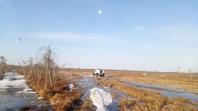 Весеннее болото