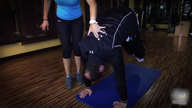 ESENCIAL PILATES Ejercicio Plancha en TRX смотреть онлайн