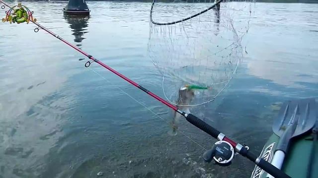 Неубиваемая подсака,маленькие хитрости... смотреть онлайн