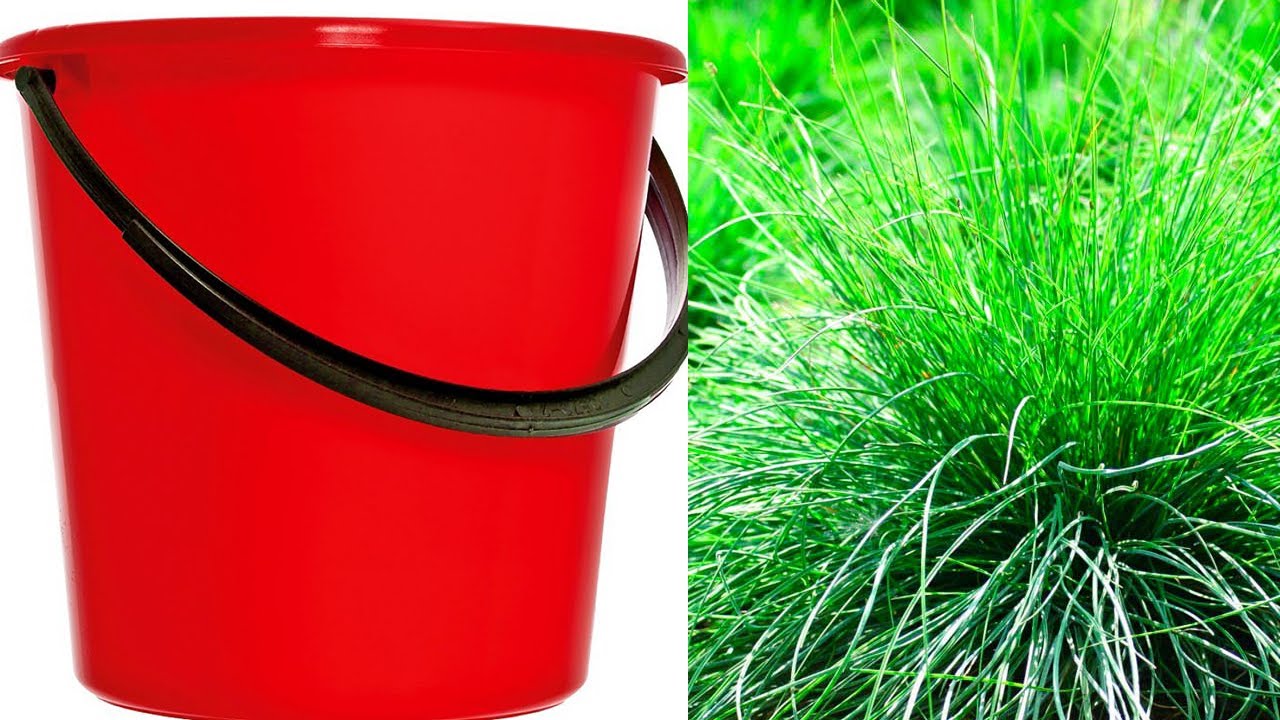 ПОЛЕЗНЫЕ СОВЕТЫ