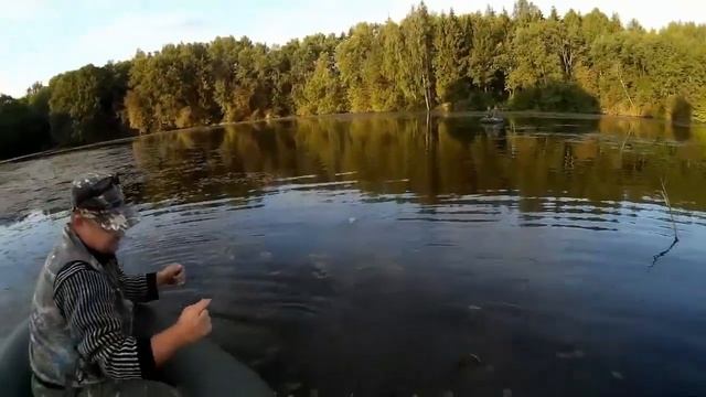 Летняя рыбалка - ловля щуки на живца смотреть онлайн