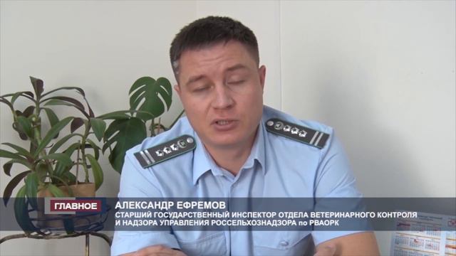 Управление Россельхознадзора проводит контроль экспортируемой продукции в Республику Иран смотреть онлайн