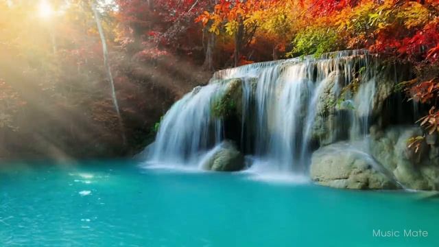 Музыка для учебы и отдыха ☁ Красивая фортепианная музыка - музыка для разучивания: "Relax" смотреть онлайн