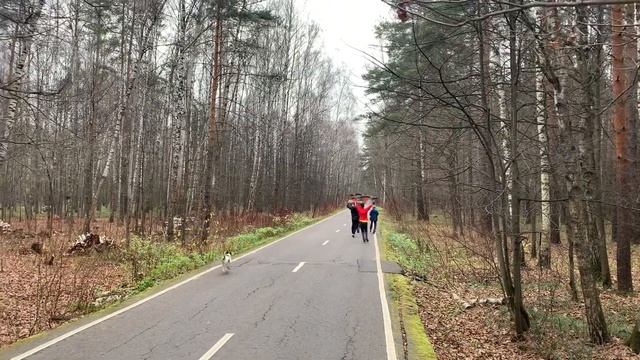 Тхэквондо ЦСКА. Тренировки в лесу. смотреть онлайн
