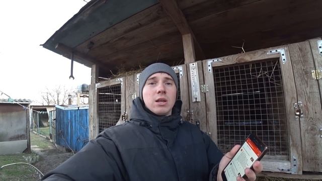 Маленькие зайчата панона смотреть онлайн