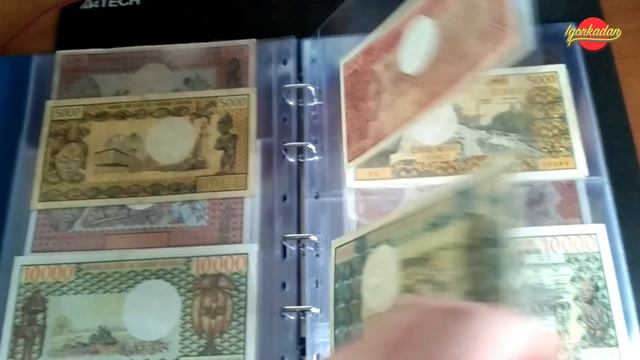 Самая редкая коллекция банкнот от подписчика Юрия. Банкноты Африки. Французская Западная Центральна