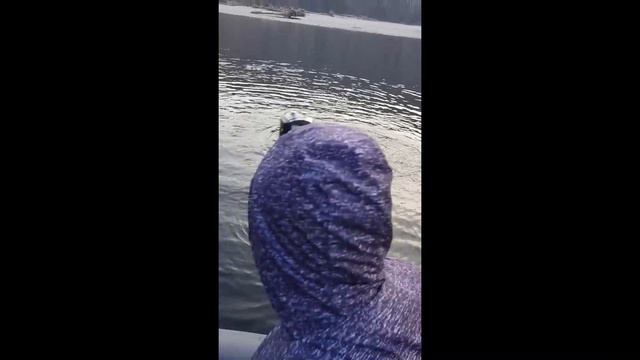 Река Урми. Заезд 2018 года. Третий день смотреть онлайн