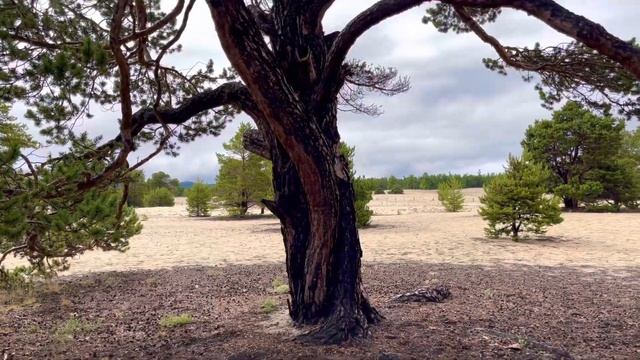 Шикарный песчаный пляж Ольхона, Сарайский пляж?⛱/17 июля 2022 г. смотреть онлайн