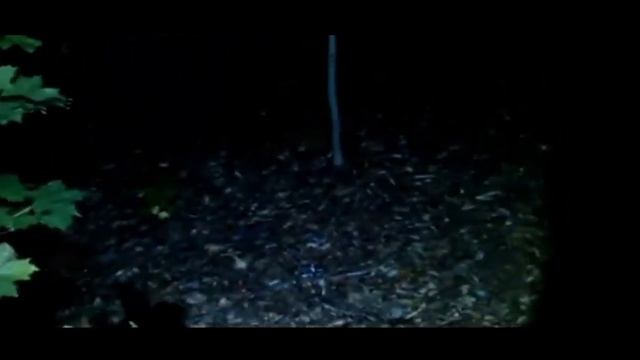 ???Рейк это Ирка? кто такой Рейк???? смотреть онлайн