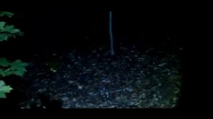 ???Рейк это Ирка? кто такой Рейк????