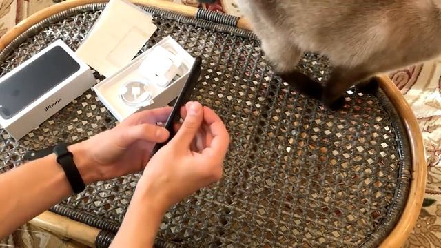 Apple IPhone 7 Plus распаковка