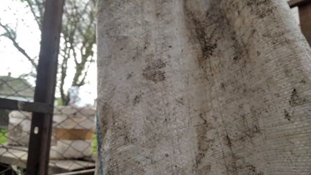 забой бройлеров в 45 дней смотреть онлайн