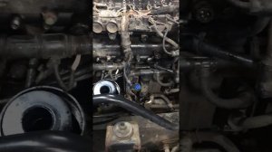 MAN TGL ошибка EDC 03779