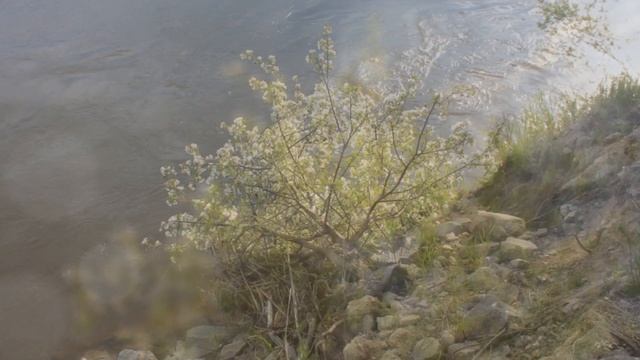 путешествие на Байкал в июне 2013 года смотреть онлайн