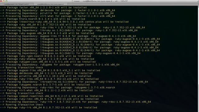 Installing the Puppet Configuration Management Agent смотреть онлайн