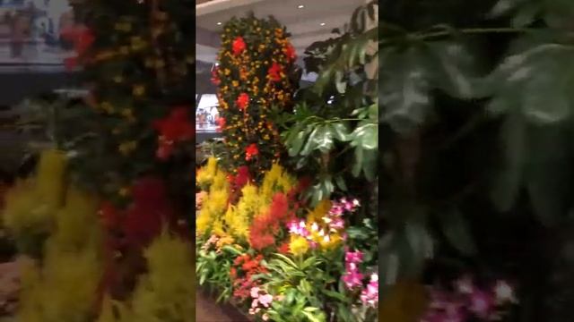 Аэропорт Чанги Сингапур ?? Прилетели в Сигапур и обалдели от такой инфраструктуры аэропорта… смотреть онлайн